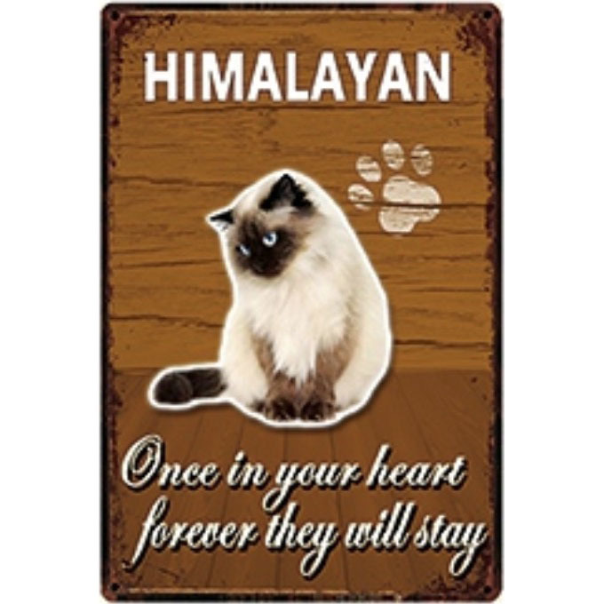 A2753 メタル サイン ブリキ 看板 金属 製 プレート アート パネル 店 カフェ 動物 ペット 猫 警告 注意 ヒマラヤン 4429拍卖