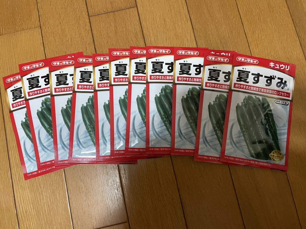タキイ キュウリ夏すずみ 11袋で拍卖