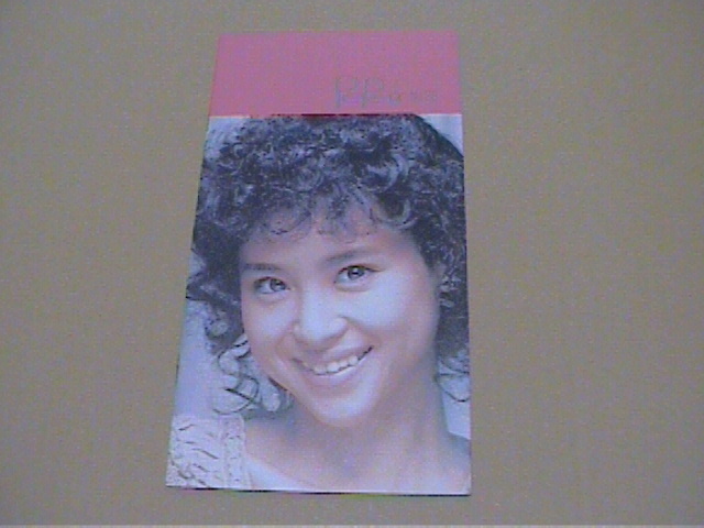 松田聖子☆ファンクラブ会報 拍卖