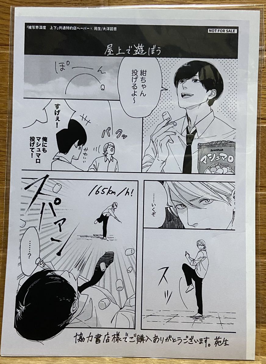 被写界深度(特典ペーパー)拍卖