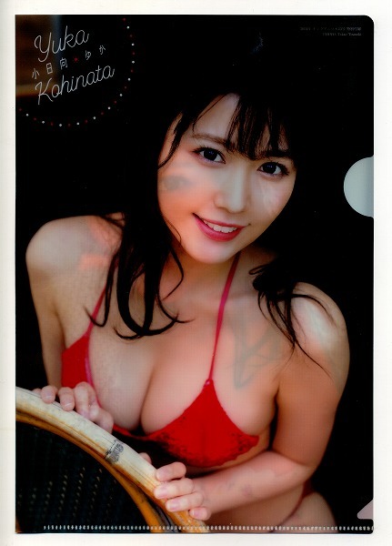 ヤングアニマル 2021年23号付録 小日向ゆか クリアファイル拍卖