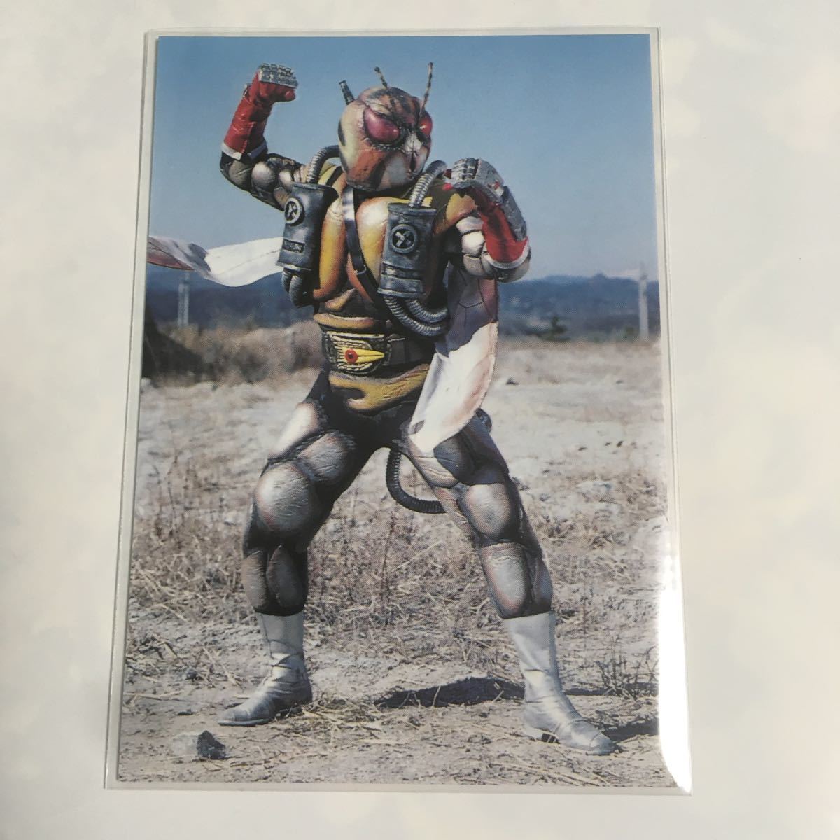 カルビー仮面ライダーR 294 第2記録 バチンガル拍卖