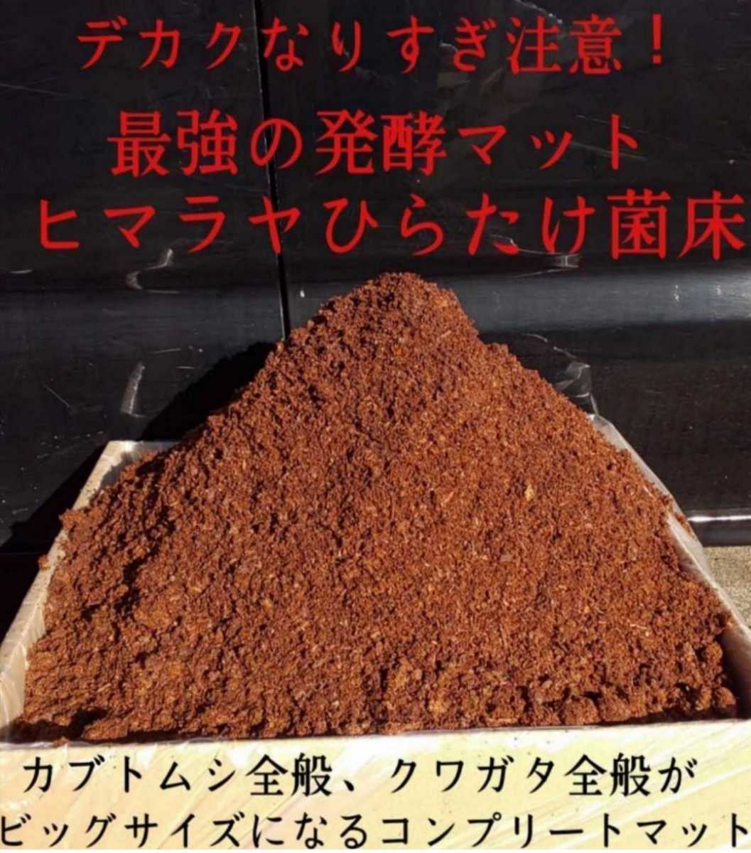 【改良版】雑虫がわかない!幼虫が大きくなる!ヒマラヤひらたけ発酵カブトムシマット!幼虫の餌、産卵マットに 20L クヌギ100%原料拍卖