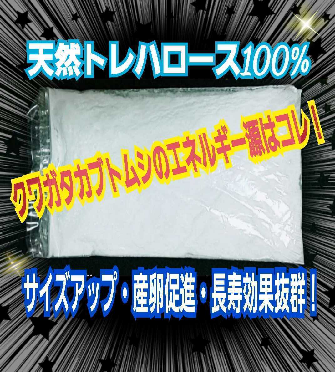 クワガタ・カブトムシのエネルギー源!トレハロース【2袋】マットや菌糸、ゼリーに混ぜるだけでサイズアップ、産卵数アップ、長寿効果抜群拍卖