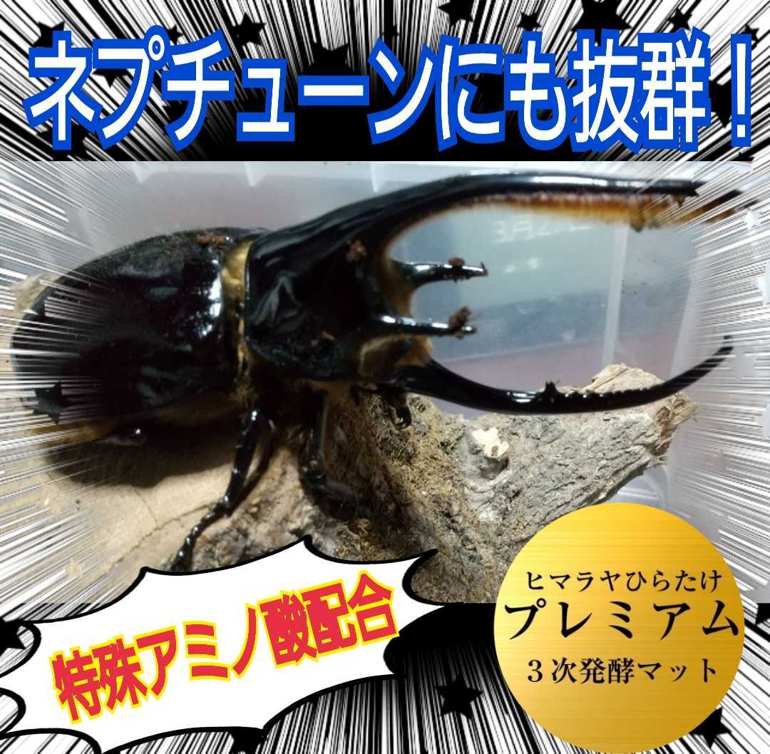進化した!特選プレミアム3次発酵カブトムシマット☆微粒子☆特殊アミノ酸など栄養添加剤を3倍配合した究極のプロ仕様!産卵にも抜群です拍卖