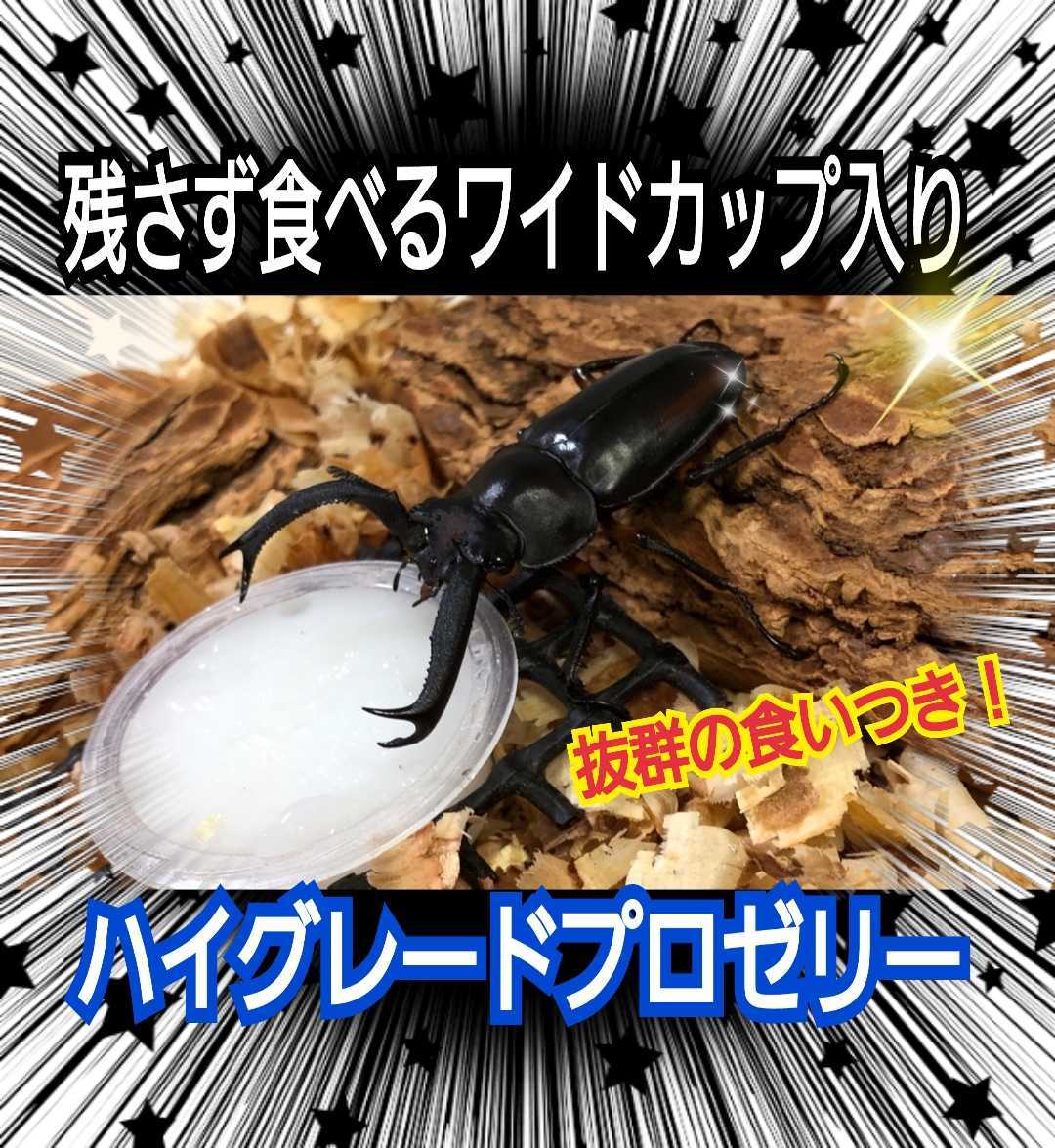 極上!ハイグレードプロゼリー【300個】特殊アミノ酸強化配合!産卵促進・長寿・体力増進に!カブトムシの餌、クワガタの餌 昆虫ゼリー拍卖
