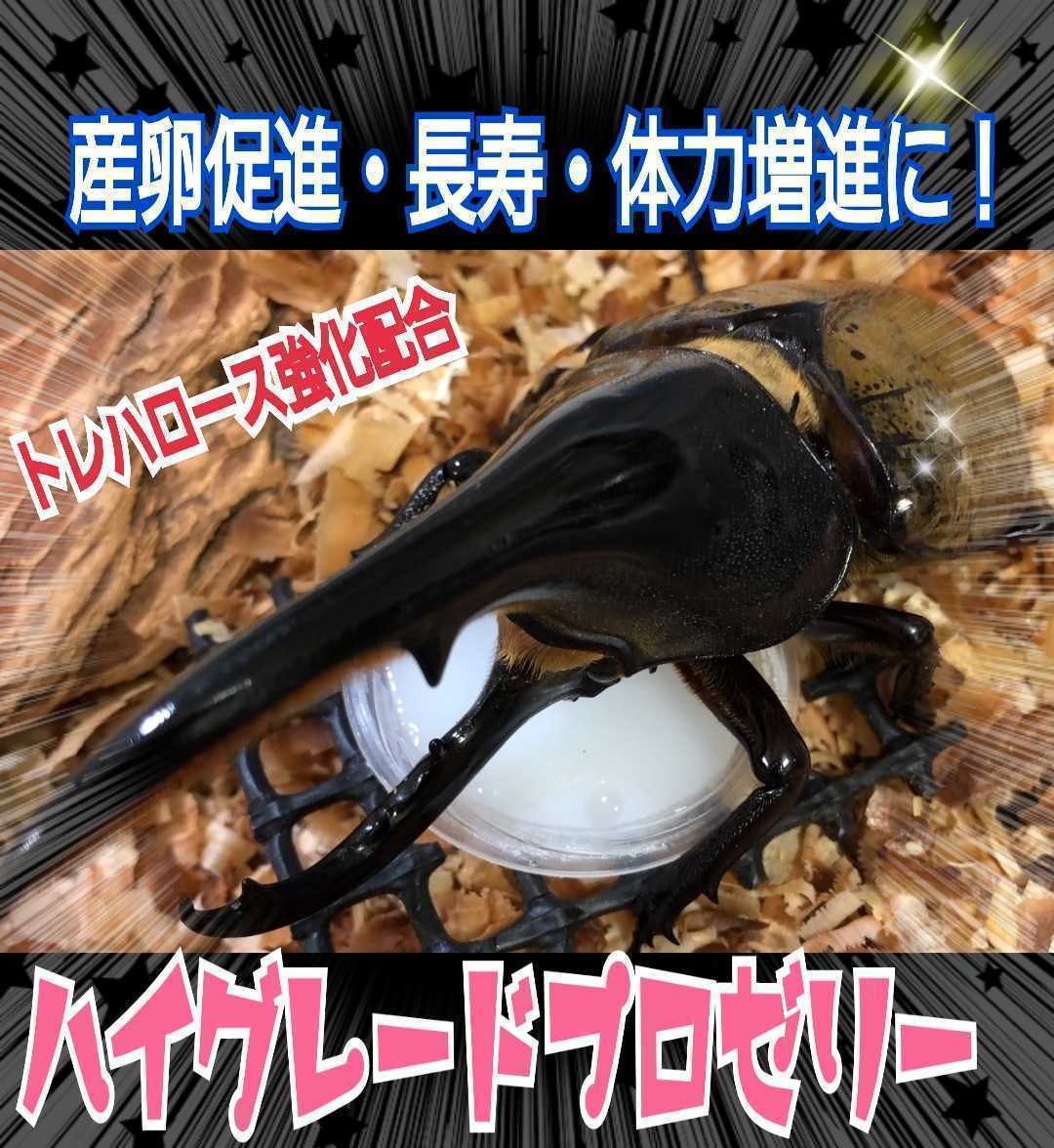 極上ハイグレードプロゼリー【200個】特殊アミノ酸強化配合!産卵促進・長寿・体力増進に抜群!クワガタの餌、カブトムシの餌 昆虫ゼリー拍卖