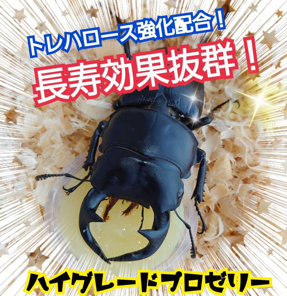 極上ハイグレードプロゼリー【200個】特殊アミノ酸強化配合!産卵促進・長寿・体力増進に抜群☆クワガタの餌、カブトムシの餌 昆虫ゼリー拍卖