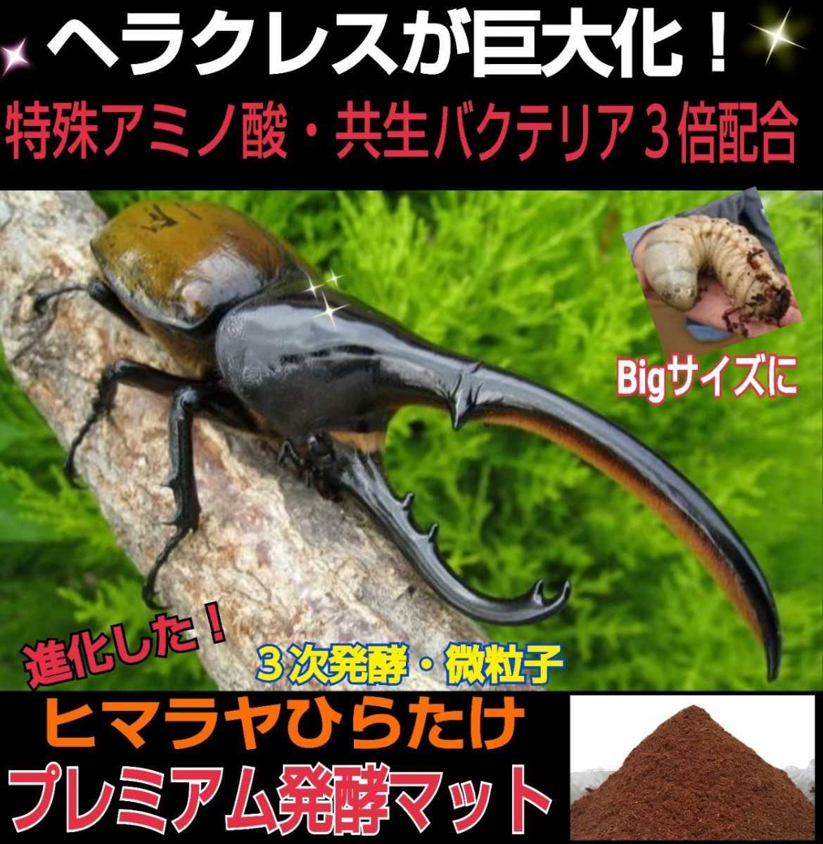 進化した!特選プレミアム3次発酵カブトムシマット☆微粒子☆特殊アミノ酸など栄養添加剤を3倍配合した究極のプロ仕様☆産卵にも抜群です拍卖