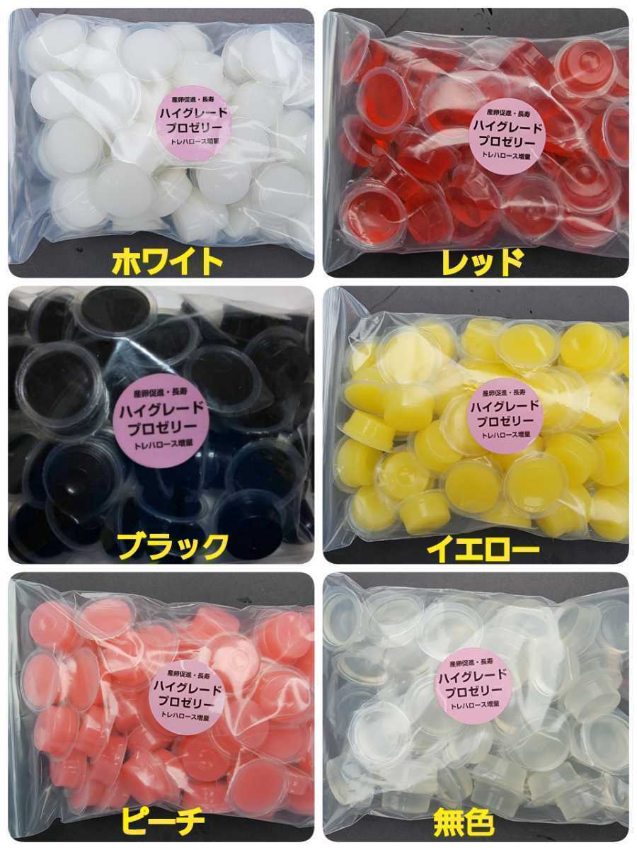 ご希望のカラーを発送できます!特選ハイグレードプロゼリー【200個】特殊アミノ酸強化配合!産卵促進・長寿・体力増進に!ワイドカップ拍卖
