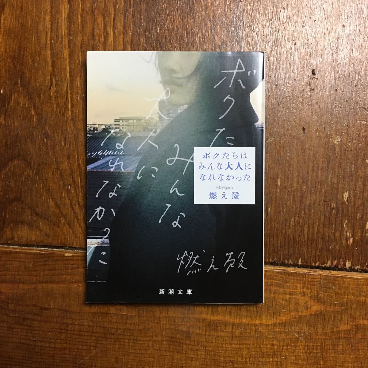 ボクたちはみんな大人になれなかった/燃え殻☆文学 人生 心理 恋愛 音楽 青春 cakes あいみょん拍卖