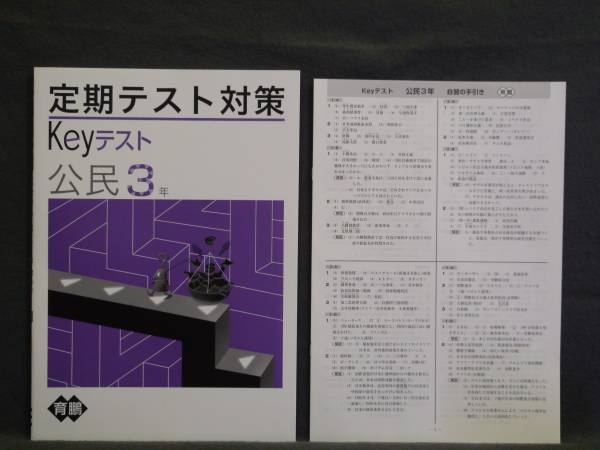 ★ 即発送 ★ 新品 定期テスト対策 Keyテスト 社会 公民 3年 育鵬社版 解答付 中3 育鵬拍卖