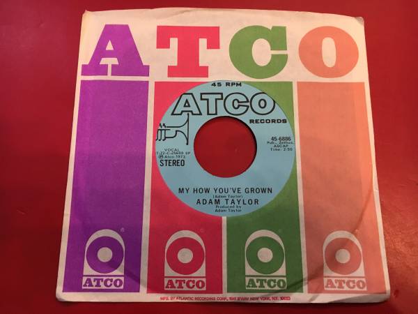 Adam Taylor / My How You've Grown / US 7inch拍卖