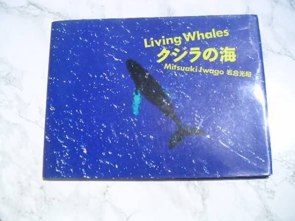 ∞ クジラの海 岩合光昭、著 小学館、刊 1990年 第3刷発行拍卖