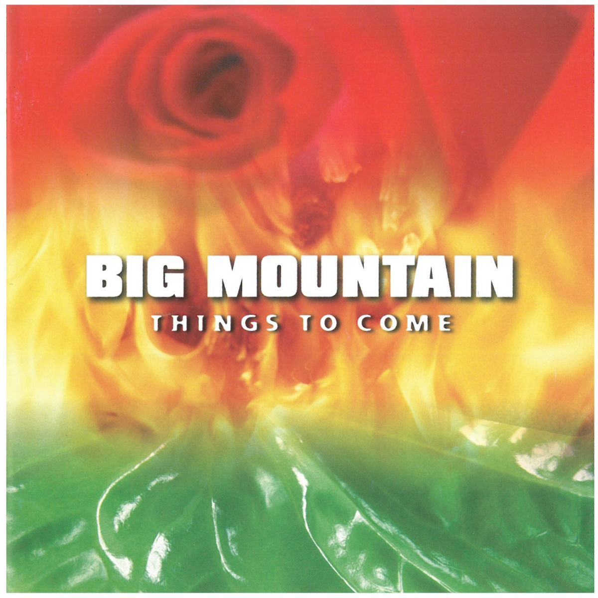 ビッグ・マウンテン(BIG MOUNTAIN) / THINGS TO COME (ディスクに傷あり) CD拍卖