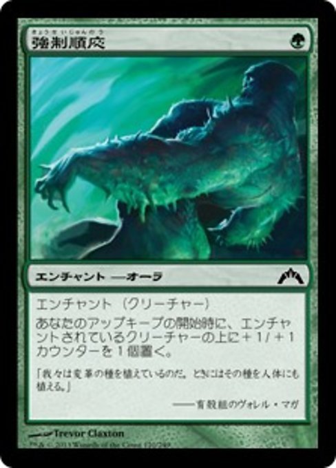 MTG ■緑/日本語版■ 《強制順応/Forced Adaptation》★FOIL★ ギルド門侵犯 GTC拍卖