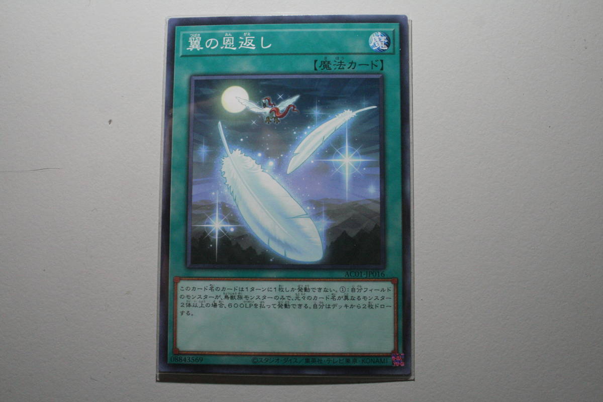 遊戯王 AC01-JP016 翼の恩返し N ノーマル 未使用 ANIMATION CHRONICLE 2021 拍卖