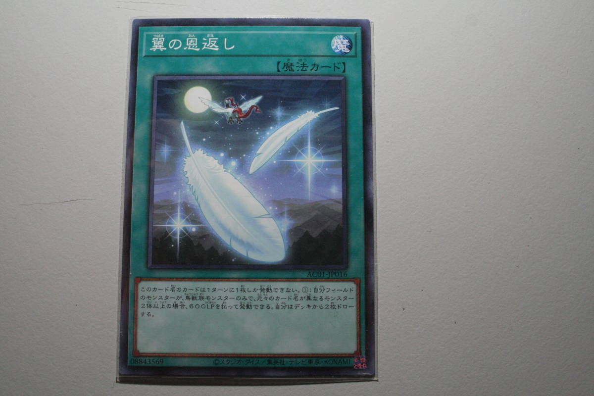 遊戯王 AC01-JP016 翼の恩返し N ノーマル 未使用 ANIMATION CHRONICLE 2021 拍卖