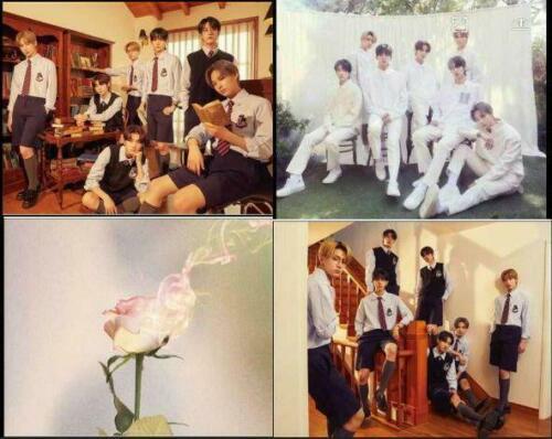 未再生品 BORDER 儚い universal盤+初回限定盤AB+通常盤 ENHYPEN 特典なし Japan 1stシングル DVD付き 4形態セット 拍卖