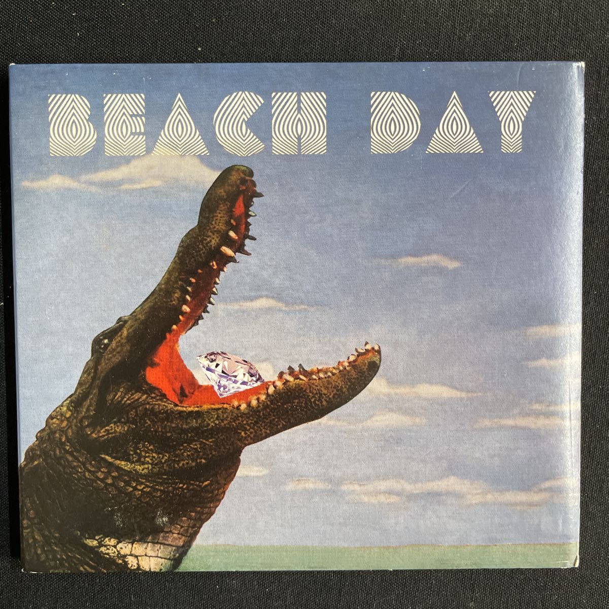 20509CM : BEACH DAY / Trip Trap Attach拍卖