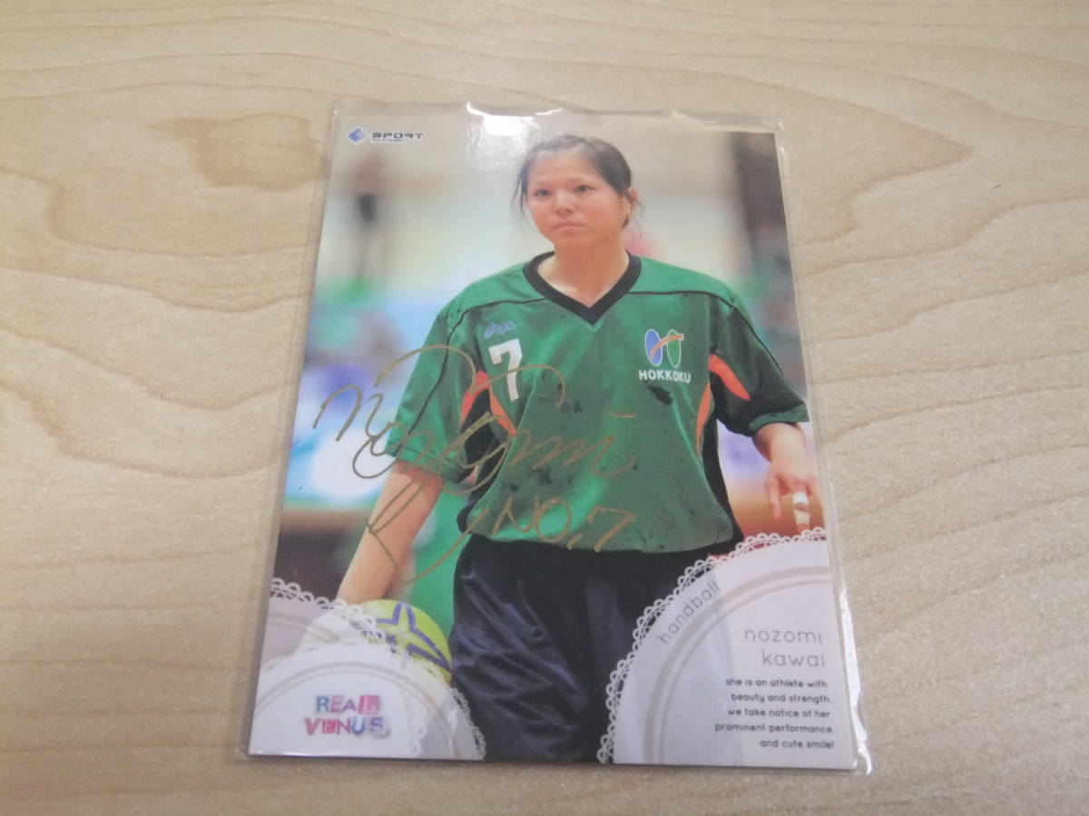 即決2010BBM リアルヴィーナス 金箔サインカード 川井望未093 /200拍卖