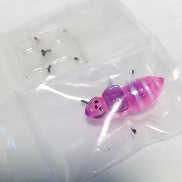 BUG DOG バグピンク ジャッカル 未使用品 バグドッグ 検 セミ シケイダー シグレ拍卖