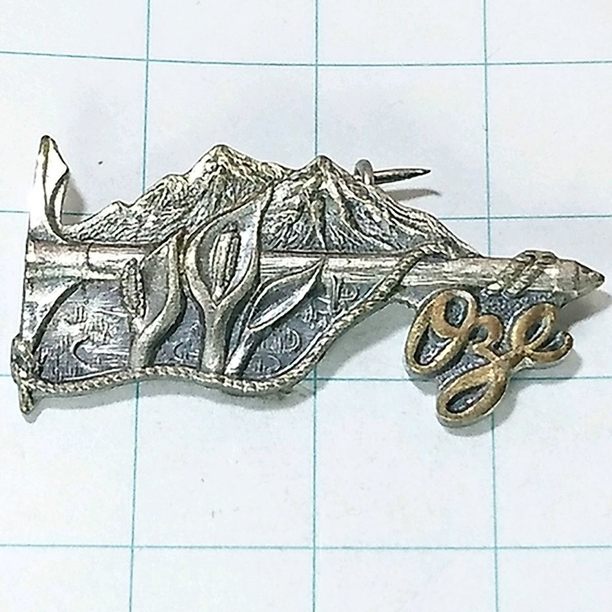 送料無料)尾瀬 昭和レトロ ご当地 観光地 登山 山登り 旅行 記念 山バッジ ピンバッジ PINS ピンズ A09653拍卖