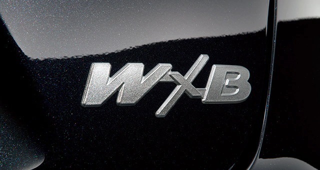 カローラツーリング/COROLLA TOURING 210系:純正 グレードエンブレム(W×B用)拍卖