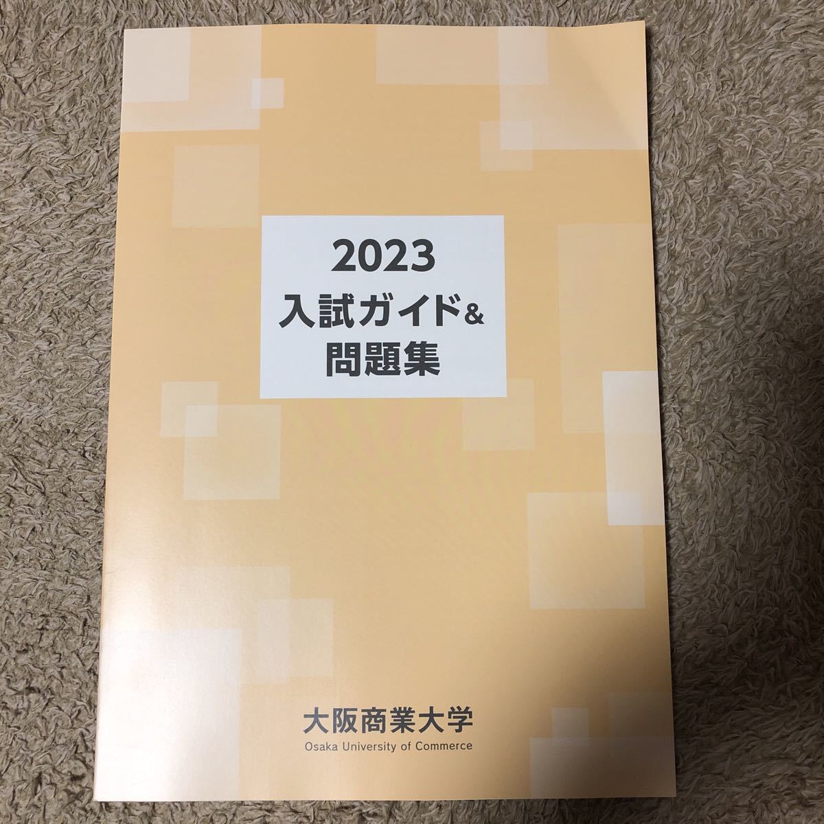 大阪商業大学 入試ガイド&問題集2023拍卖