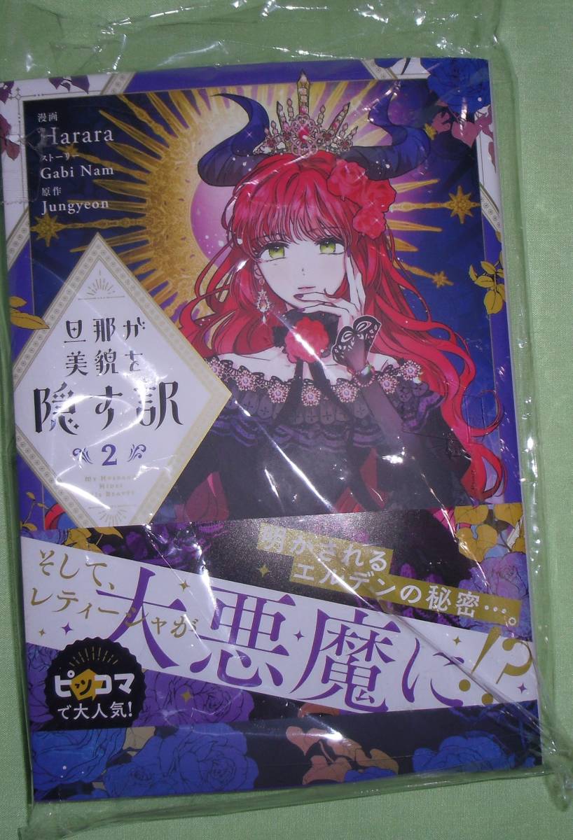 旦那が美貌を隠す訳 2巻 画像の転用転載禁止noraandmaxヤフオク様出品中拍卖