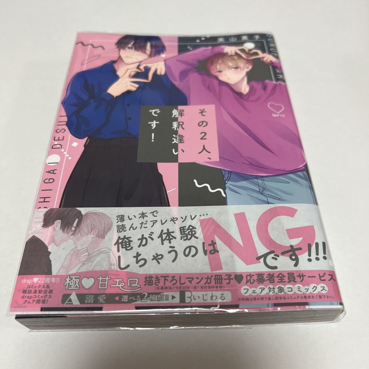 BL 3816 その2人、解釈違いです!…美山薫子拍卖