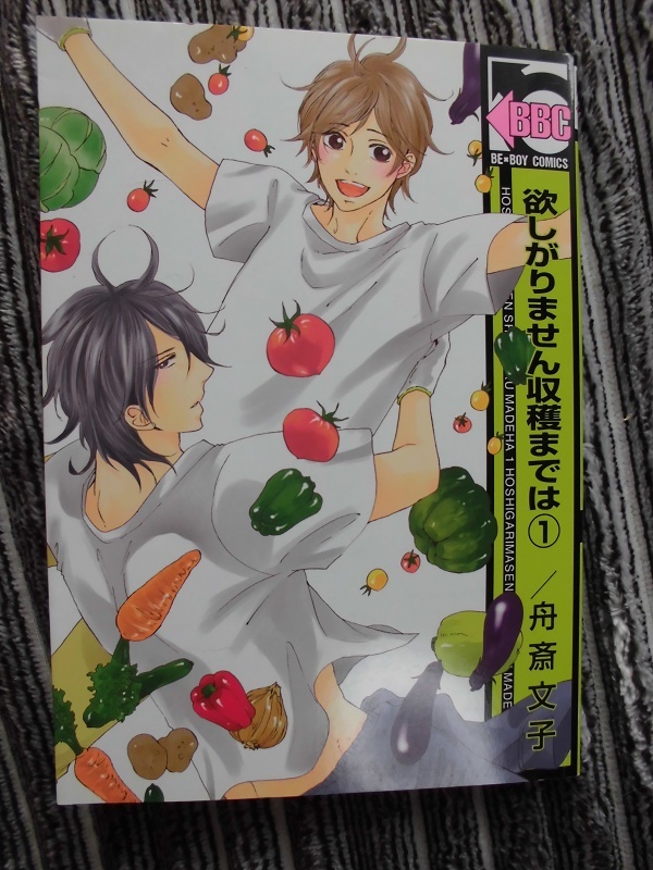 D 欲しがりません収穫までは ① ☆舟斎文子☆ BE-BOYコミックス拍卖