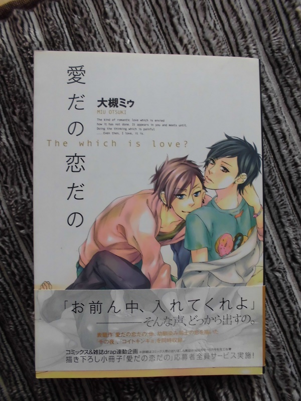 D 愛だの恋だの ☆大槻ミゥ☆ ドラコミックス拍卖