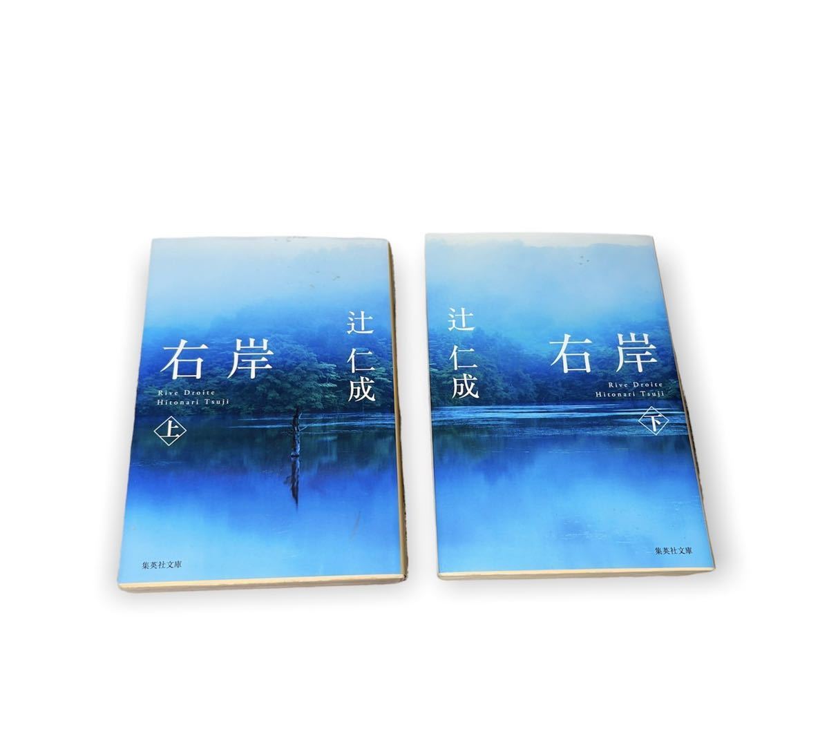 辻仁成 右岸 上下セット拍卖