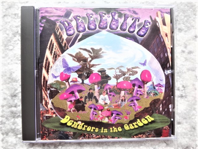 B【 DEEE-LITE (ディー・ライト) / Dewdrops in the Garden 】CDは4枚まで送料198円拍卖