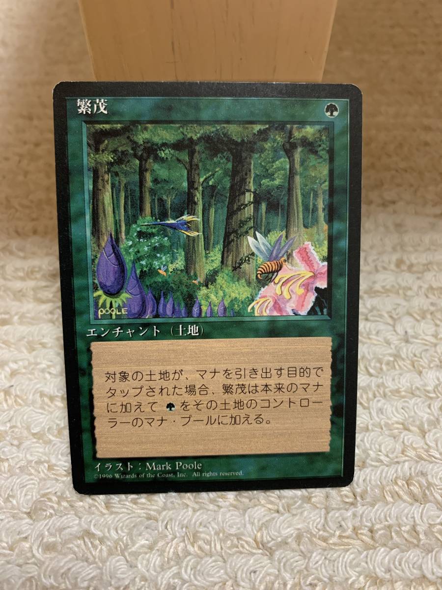 4版限定黒枠 繁茂/Wild Growth 日本語版拍卖