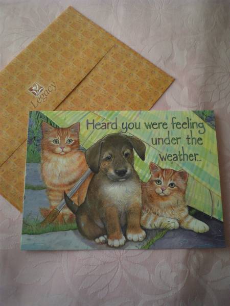 Legacy USA カード☆犬&2匹の猫 拍卖