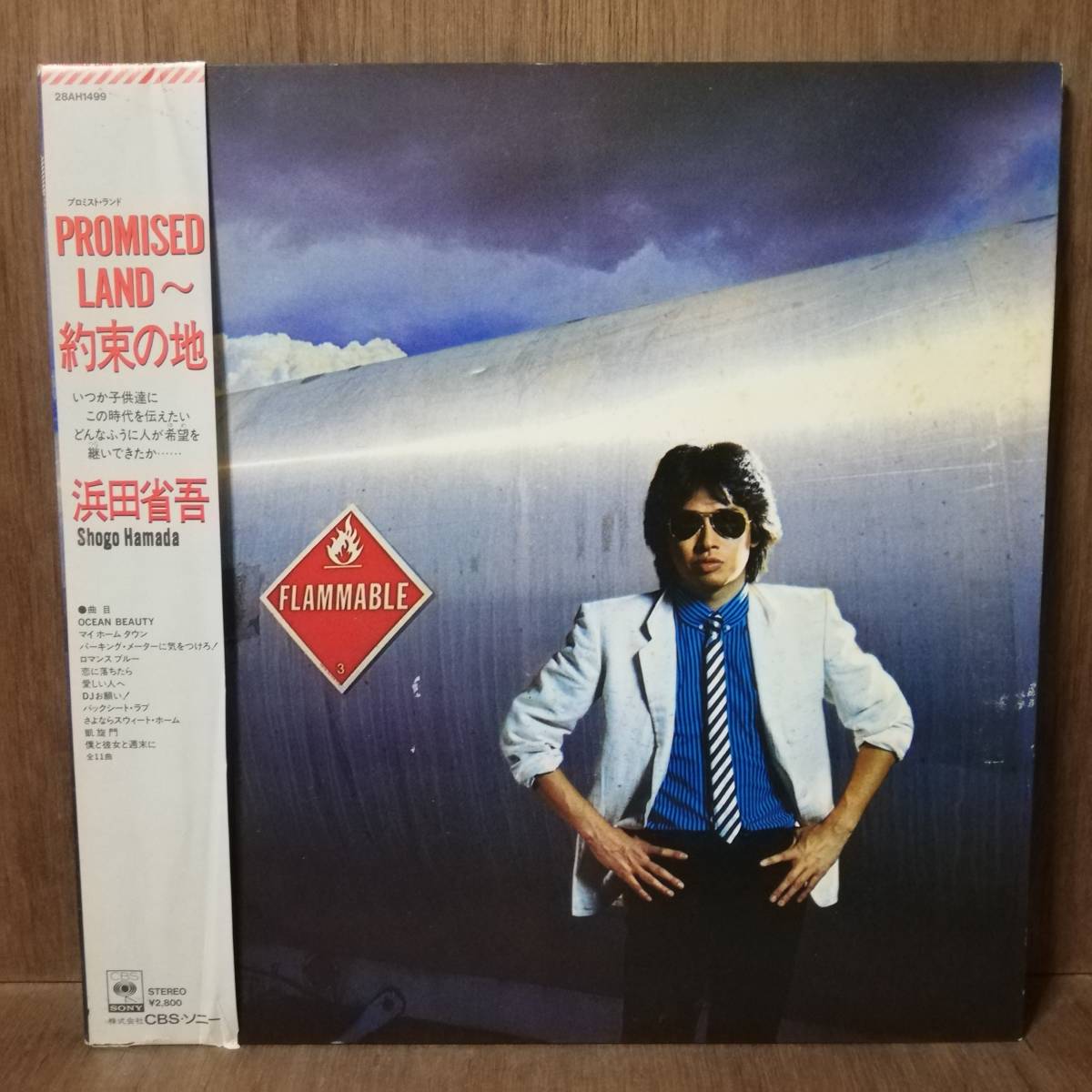 LP - 浜田省吾 - Promised Land 〜約束の地 - 28AH 1499 - *20拍卖