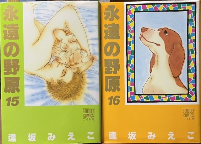 即決!逢坂みえこ『永遠の野原』15・16(完結巻)2冊まとめて♪ ぶ〜けコミックス・ワイド版 レターパックライト送料430円拍卖