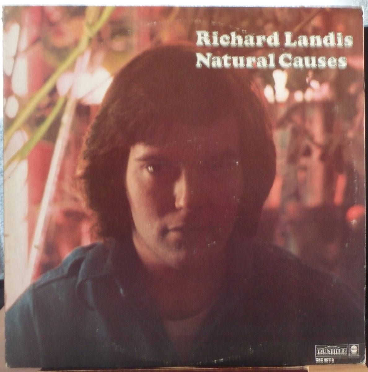 【SW103】RICHARD LANDIS 「Natural Causes」, 72 US Original ★SSW/スワンプ/カントリー・ロック拍卖