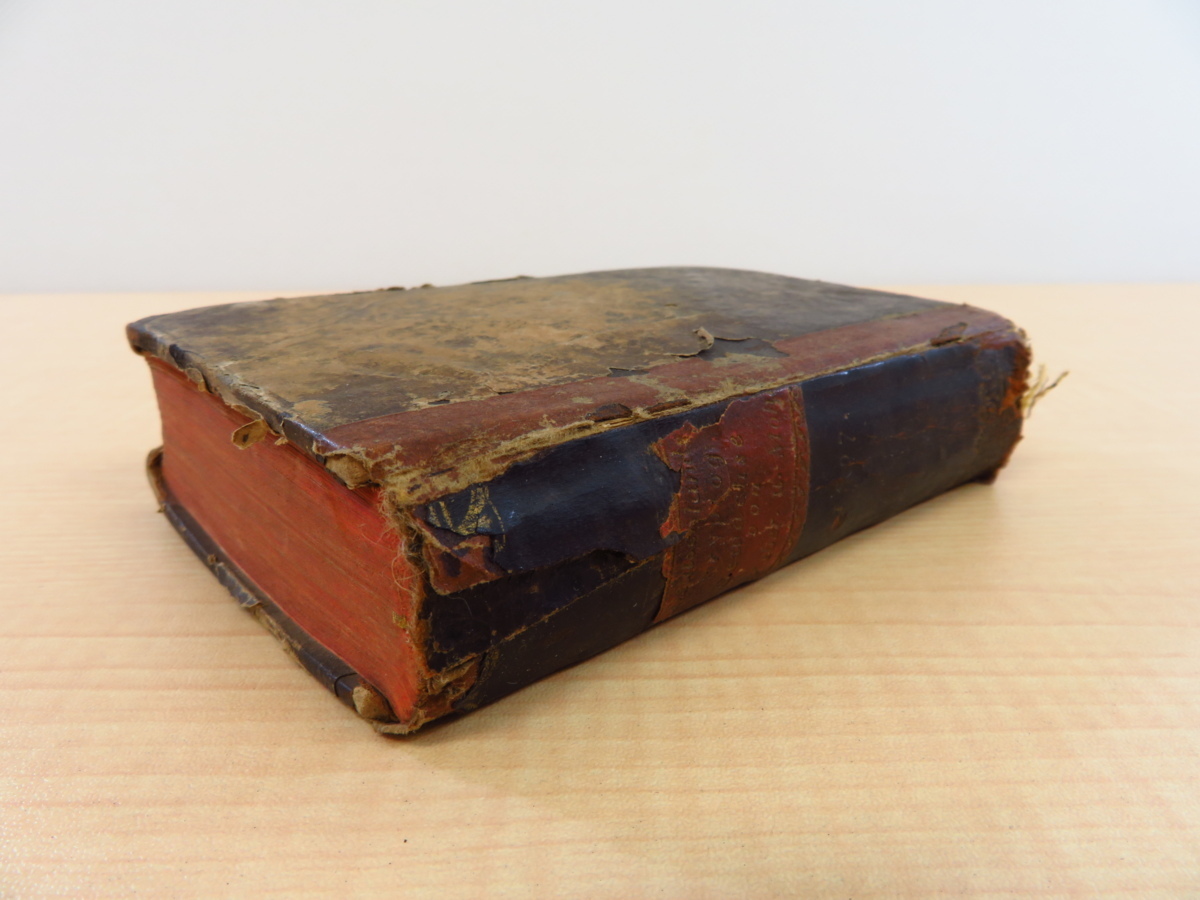 銅版画12枚入 ドイツ植物学者Friedrich Weber著『Botanisches Taschenbuch auf das Jahr 1807』植物学書 隠花植物 蘚類(コケ植物)拍卖