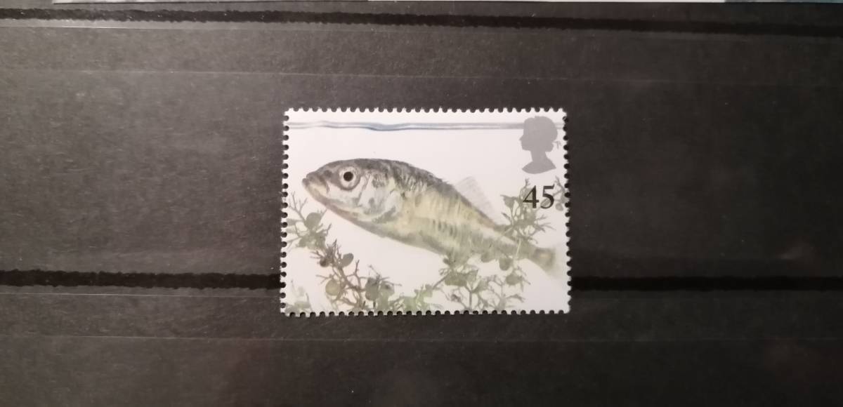 イギリス 魚(1種) MNH 拍卖