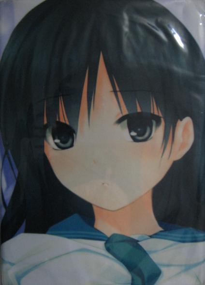 CURE GIRL/Noesis げっちゅ屋特典抱き枕カバー拍卖