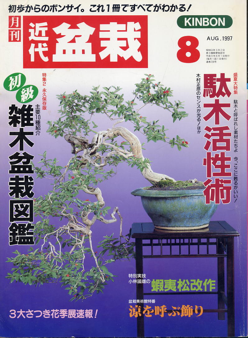 【近代盆栽】1997.08★駄木活用術 ★初級雑木盆栽図鑑拍卖