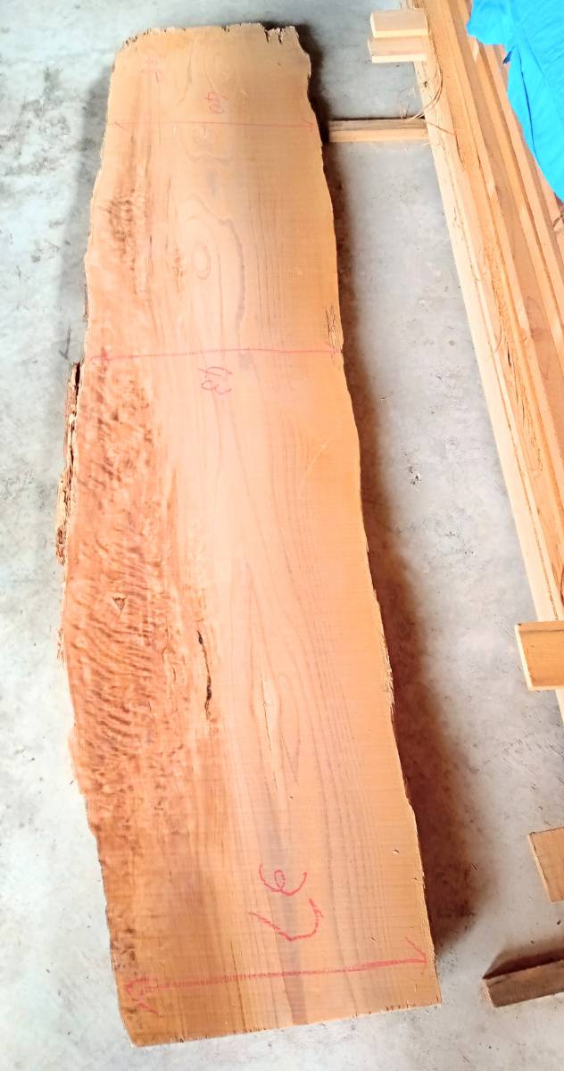 ■天然杉《無垢》一枚板 耳つき【全長】185㎝×【幅】38㎝→(47〜43㎝)→37㎝×【厚み】6㎝。拍卖