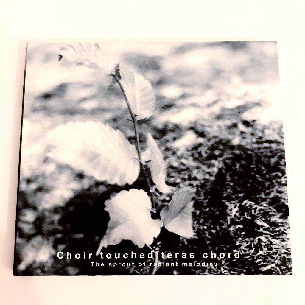 【廃盤!EMO】Choir touched teras chord / The sprout of radiant melodies 検) Bluebeard As Meias buddhistson Let Your Spirit Soar拍卖