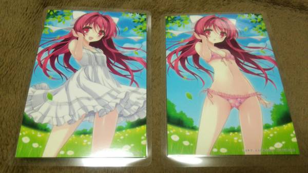 ♪『とらのあな2010』♪イラストカード♪2種類セット♪ユキヲ♪ラミネート加工済(説明欄必読)♪拍卖