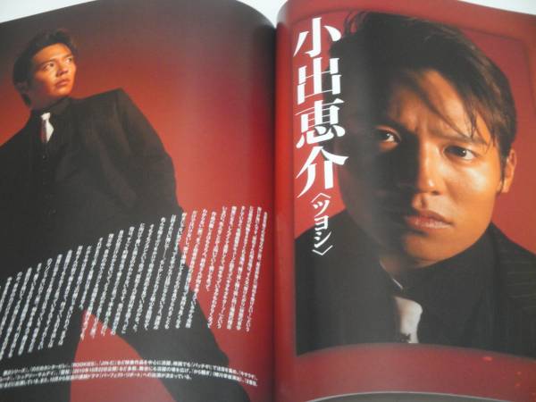 即決 COCOON シダの群れ パンフ 小出恵介/江口洋介/阿部サダヲ チラシ付き拍卖