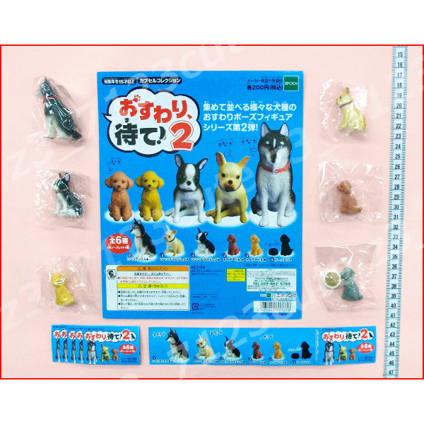 ★ガチャポン おすわり、待て! パート2 全6種シークレット★トイプードル拍卖