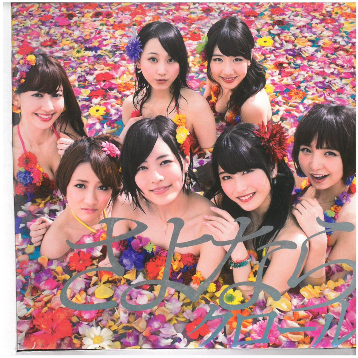 AKB48 / さよならクロール(Type-B )(フォト冊子,DVD付) CD拍卖